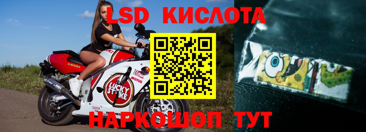 Где найти наркотики?  Магадан  КОКАИН  Меф   A-PVP СК кристаллы  ГАШ  МАРИХУАНА  Вход с VPN  МЕФ 